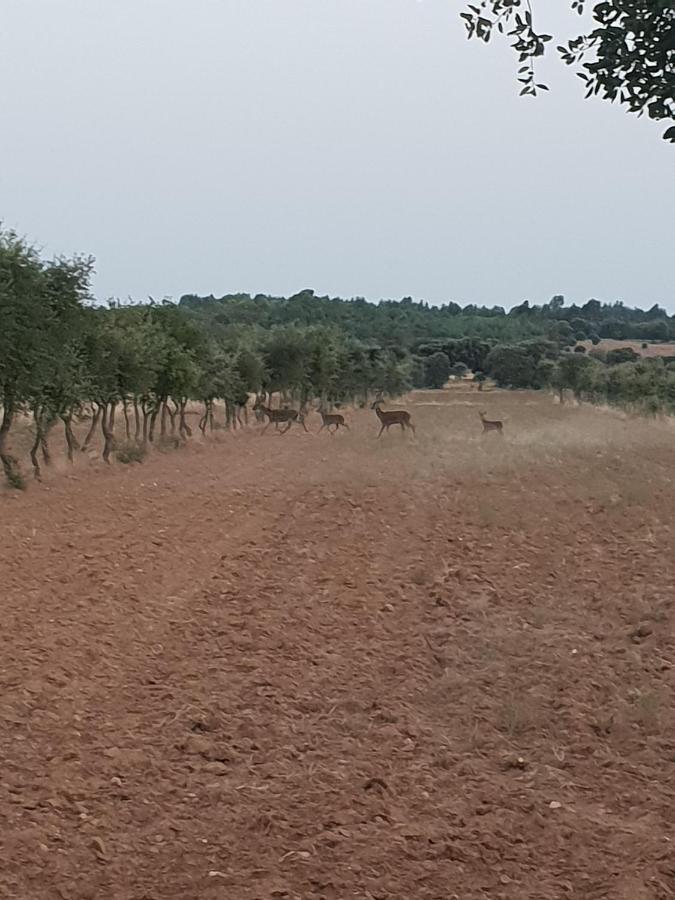 Herdade Clube Tiro מונפורטיניו מראה חיצוני תמונה
