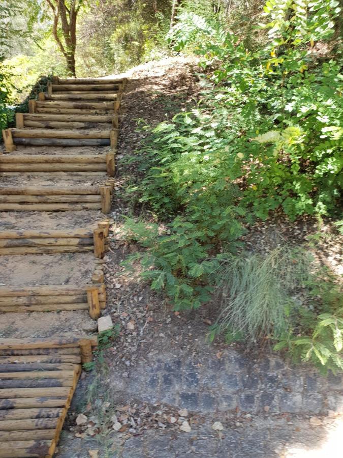 Herdade Clube Tiro מונפורטיניו מראה חיצוני תמונה