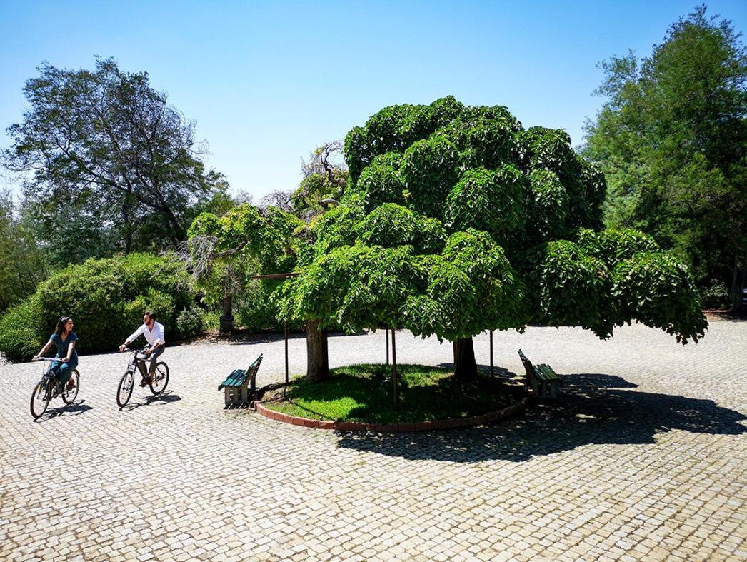Herdade Clube Tiro מונפורטיניו מראה חיצוני תמונה